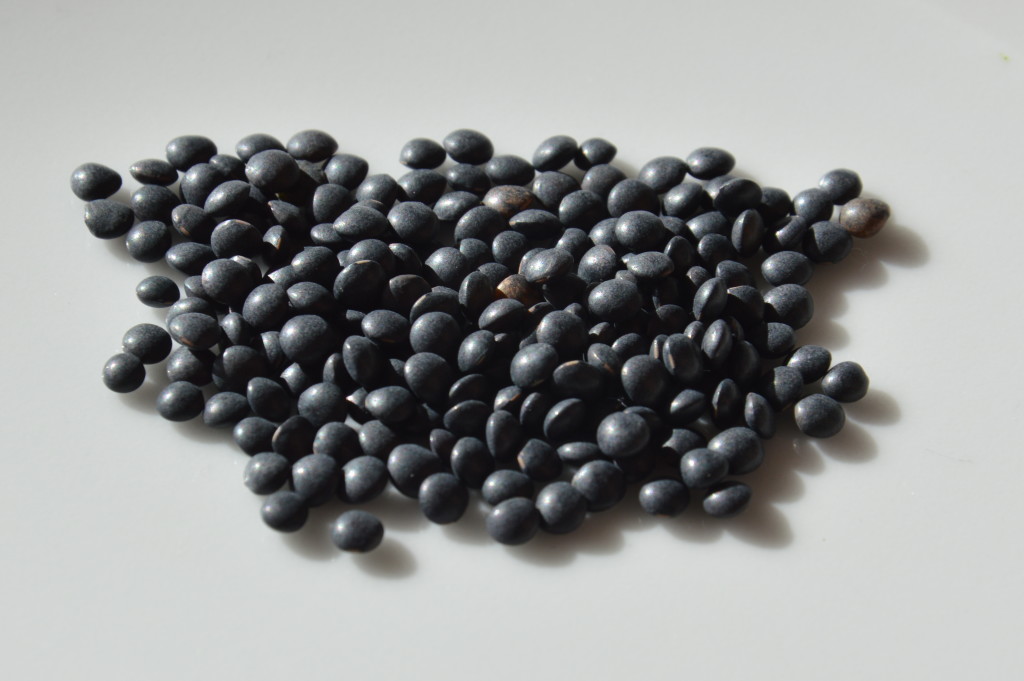 Black Beluga Lentils